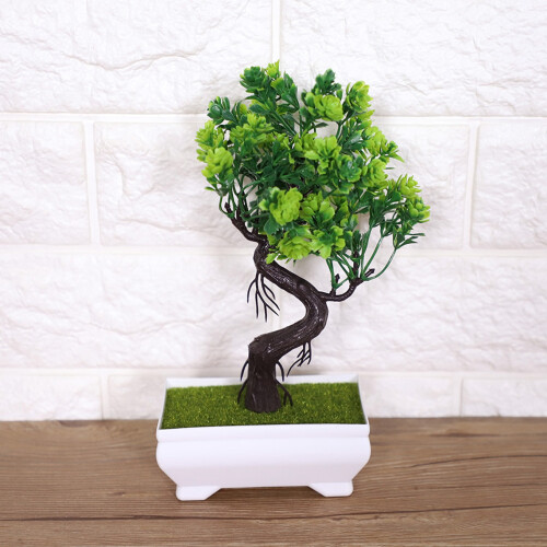 Πλαστικά φυτά για διακόσμηση βιβλιοθήκης, Τεχνητά φυτά εσωτερικού χώρου σε 1
