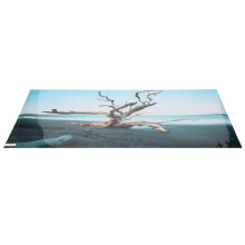3D PVC Aquarium Hintergrunddekoration Himmel mit verwittertem Baum 61x41cm