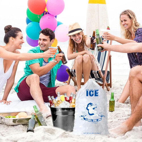 Drawstring Ice Bags  Leakproof, Thickened, Freezer Storage 4.5 Kg 1