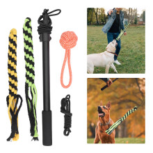 Interaktives ausziehbares Flirt-Stab-Spielzeug für kleine bis große Hunde, 40-101cm