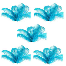 50 Pcs Natural Ostrich Feathers Wedding Party Decoration Lake 20-25cm