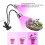 Double Head LED Grow Light for Succulents, 52 LEDs, USB Powered 9