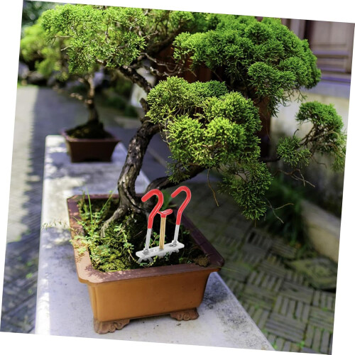 Bonsai Tree Kit Bonsai Tools Tool for Bending Trees Modelling Tools 2