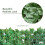 Outsunny Outsunny Artificial Leaf Hedge Panel Garden Fence Privacy Screen on Roll 1m x 3m 6