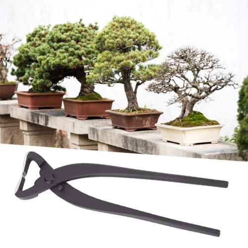 Steelwork Splinter Scissors Beginner Bonsai Scissors Vouiu Bonsai Modelling Tools 210mm Garden