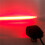 2X 10-80V 7303S Forklift LED Warning Light Linear Area Safety Light Forklift Reversing Indicator Light Working Light 3