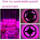 Plant Growth Light LED Full Spectrum USB Waterproof Nursery Light Artificial Sunlight (5m) 3
