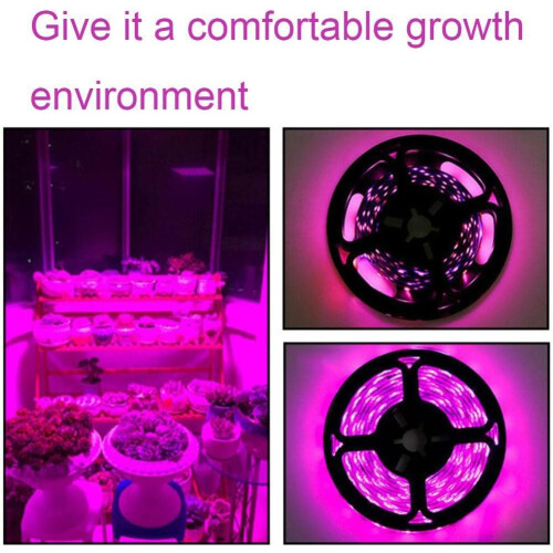 Plant Growth Light LED Full Spectrum USB Waterproof Nursery Light Artificial Sunlight (5m) 2