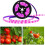 Plant Growth Light LED Full Spectrum USB Waterproof Nursery Light Artificial Sunlight (5m) 4