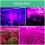 Plant Growth Light LED Full Spectrum USB Waterproof Nursery Light Artificial Sunlight (5m) 5
