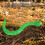 Remote Control Snake Toy, USB Rechargeable, Infrared, 8.3oz 8