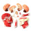 2X Medical-Torso Human Body Model Education  Muscles Nerve Organs Model for Student Teaching Study Assembling Model 4