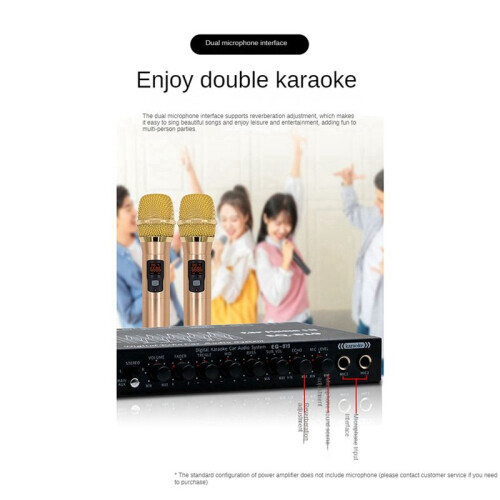 2X EQ-819 Car Equalizer Multifunctional Car Audio EQ Tuning Crossover Amplifier Parametric Equalizer Car Audio Equalizer 2