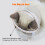 Breathable Transparent PVC Cat Muzzle for Small Cats, Safe & Prevent Bites 5