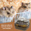 Hamster Transport Cage  Portable, Lightweight, Ventilated with Wheels 3