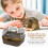Hamster Transport Cage  Portable, Lightweight, Ventilated with Wheels 2