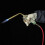 Professional double switch brazing torch for propane gas, 1.6 m hose, flame welding tool. 5