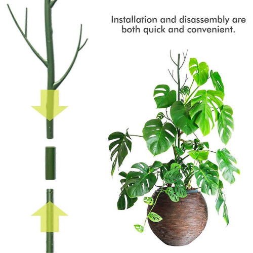 Set di supporti e legacci per piante Monstera, tutori per piante con stelo in schiuma per piante da interno 1
