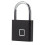 Waterproof Thumbprint Padlock 0.5s Unlock Black Holds 10 Prints USB 15