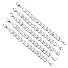 Extra dikke metalen band voor platte ketting, luxe handtassen, verstelbare lengte, ijzeren tasaccessoires met glanzende, slijtvaste afwerking,