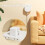 Multi-Mode  Gateway Zigbee+WiFi+ Wireless Gateway Hub Wireless  Appliance Remote Controller Bridge 6