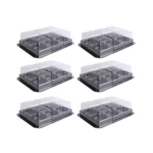 100 stuks transparante plastic bakjes voor maancakes met 6 vakjes, geschikt voor muffins, cupcakes, mochi en koekjes.