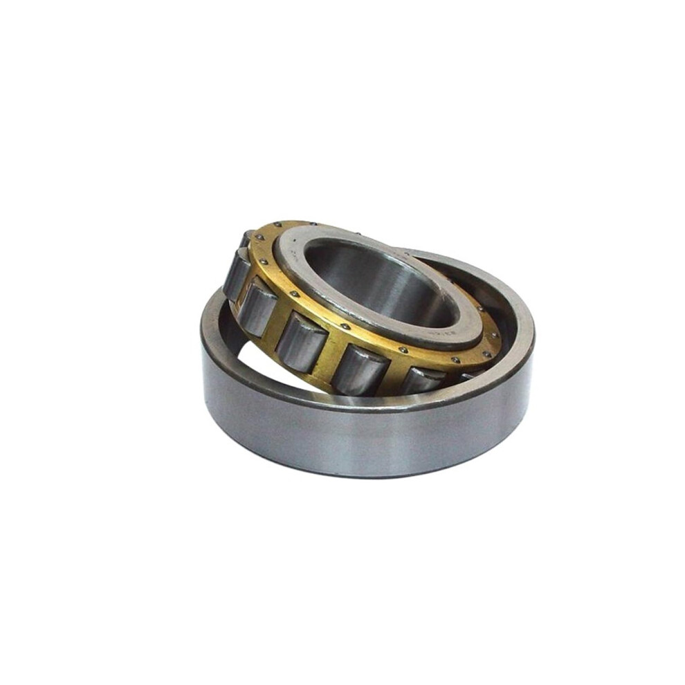 Cylindrical Roller Bearing N204n222, Size N207, Model N207, Load Capacity 9189345335037