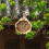 Hexagon Bee House for Bee Butterfly Ladybugs Live,Bee Box 3