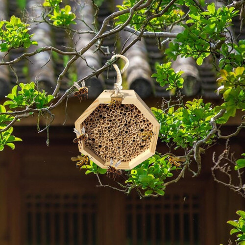 Hexagon Bee House for Bee Butterfly Ladybugs Live,Bee Box 2