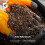 50L Ericaceous Multi Purpose Compost Soil Mix 3
