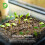 50L Ericaceous Multi Purpose Compost Soil Mix 7