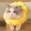 Sunflower Pet Collar Cat Collar Licking-Proof, Biting-Proof and Scratching-Proof Protective Collar M 5