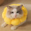 Sunflower Pet Collar Cat Collar Licking-Proof, Biting-Proof and Scratching-Proof Protective Collar M 2