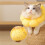 Sunflower Pet Collar Cat Collar Licking-Proof, Biting-Proof and Scratching-Proof Protective Collar M 3
