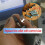 10 Pcs Jewelry Setting Burr - 3/32Inch Shank Stone Setting Burs Cylinder - Cone Shape Lapidary Making Tools 4
