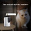 1080P Security Camera Indoor, Pet Camera with Ease Life APP, Foldable Baby Camera for Home Security 5
