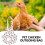 Transport harness for chickens, portable, durable, easy to use, breathable 2
