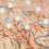 Map Pins White (100 Pack) 26871 2