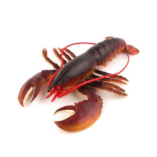 Realistic Marine Simulation Lobsters Model Australian Lobster Boston Lobster Action Figures Toy for Kid Gift A