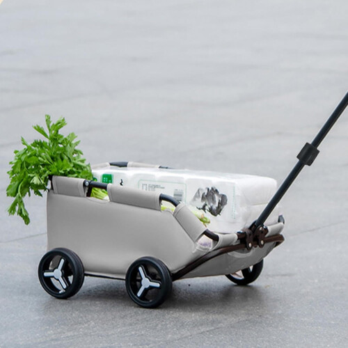 'TravelFriendly Pet Stroller for Elderly and Cats' 1