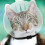 Breathable Cat Muzzle Transparent Adjustable Kitten Muzzle AntiBite Protective Head Cover For Chewing Small Animals 4