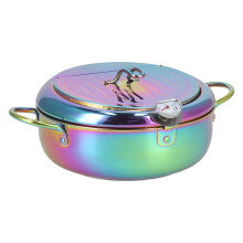 Stainless Steel Fryer Pot 3.2L with Thermometer, Non-Stick, 12.6x4.7in