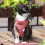 Escape Proof Harness Leash Set Small Adjustable Cat Vest Breathable Secure Design Blue Size S 5