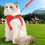 Cat Harness  Soft Reflective Mesh Vest, Adjustable, Small/Medium/Large, Red, Includes Lead, For Hiking 2