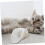 Antibite Breathable Cat Muzzle Eye Cover For Pets, Adjustable Circumference, Lightweight Bite Prevention 3