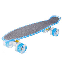 22" Mini Cruiser Skateboard with Sturdy Bracket, High Speed ABEC-7 Bearings, Designed for Smooth and Fast Ride