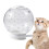 Cat Transparent Muzzle For Anti Bite Grooming Safe Fit 12cm Clear Cat Muzzle For Bathing Aggressive Cats 1