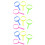 3 Count Handheld Magnifier Elder Child Colorful Magnifying Glass 5