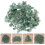 3 packs natural green aventurine stones, irregular shape 4
