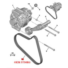 5750RG 6PK905 Antriebsriemen LüFter Lichtmaschine Rippenriemen für  308CC RCZ  C4  3008 1.6T
